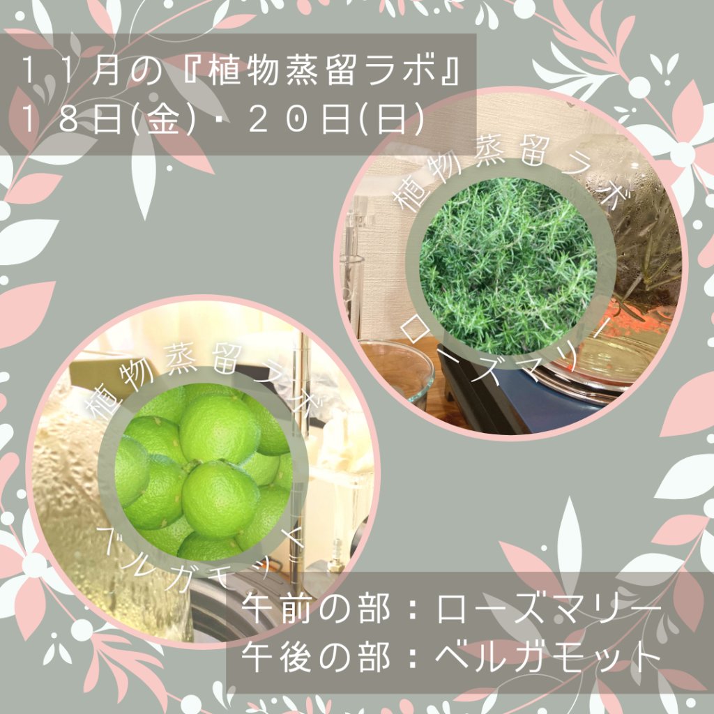 終了【植物蒸留ラボ】２０２２年１１月ワークショップ「ローズマリー・ベルガモット」の画像