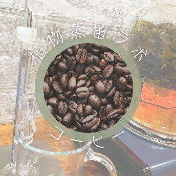 終了【植物蒸留ラボ】２０２３年２月ワークショップ「はっさく・コーヒー」画像