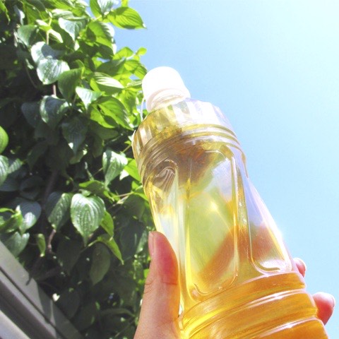 ５０１　水出しハーブティーSummerGreenの画像