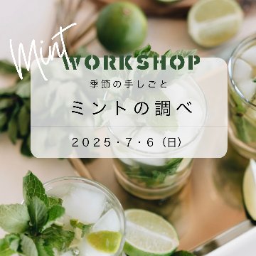 終了【季節の手しごとワークショップ「ミントの調べ」ランチ付き】２０２５年７月ワークショップの画像