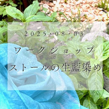 終了【季節の手しごとワークショップ「シルクストールの生藍染め」ランチ付き】２０２５年８月ワークショップの画像
