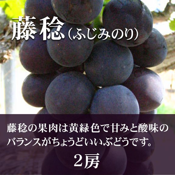 【2房】藤稔（ふじみのり）の画像