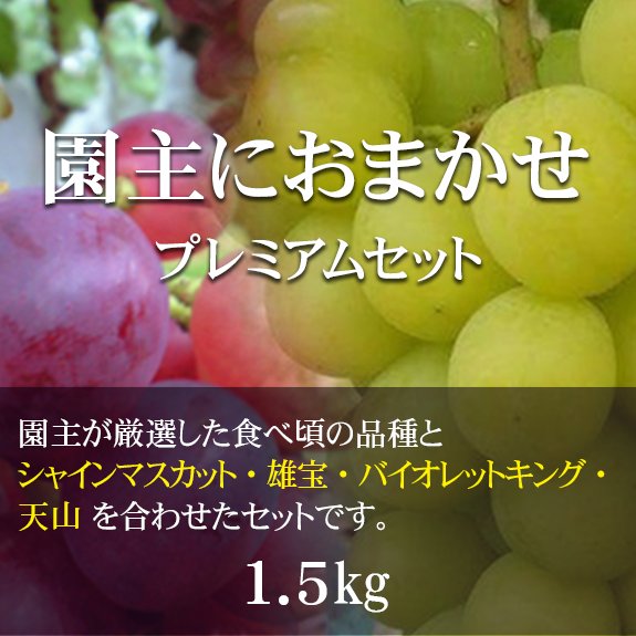 【S/2房】園主におまかせ プレミアムセットの画像