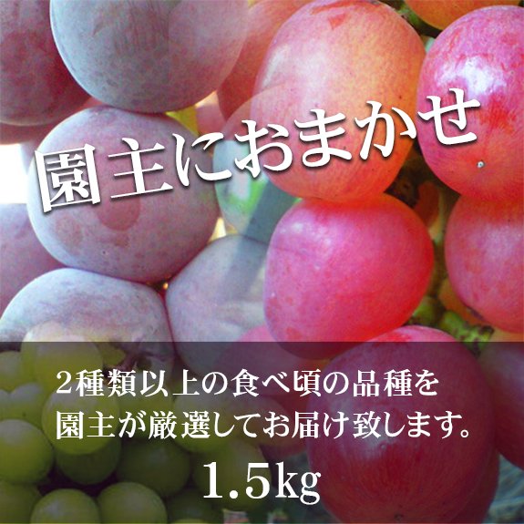 【S/2～3房】園主におまかせスタンダードセットの画像