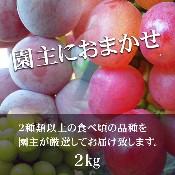 【M/3～4房】園主におまかせスタンダードセットの画像