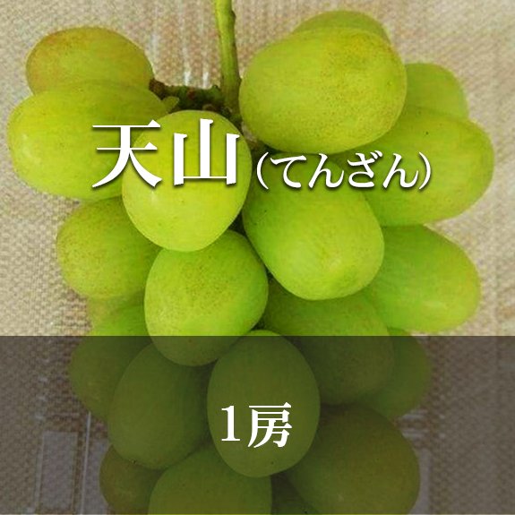 【1房】天山の画像