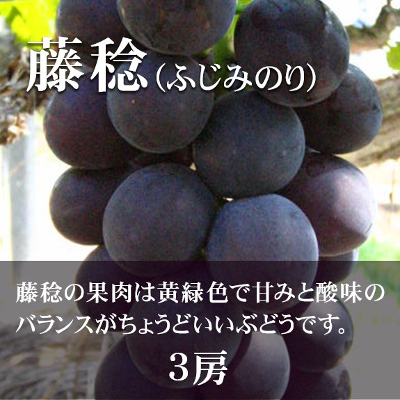 【3房】藤稔（ふじみのり）の画像