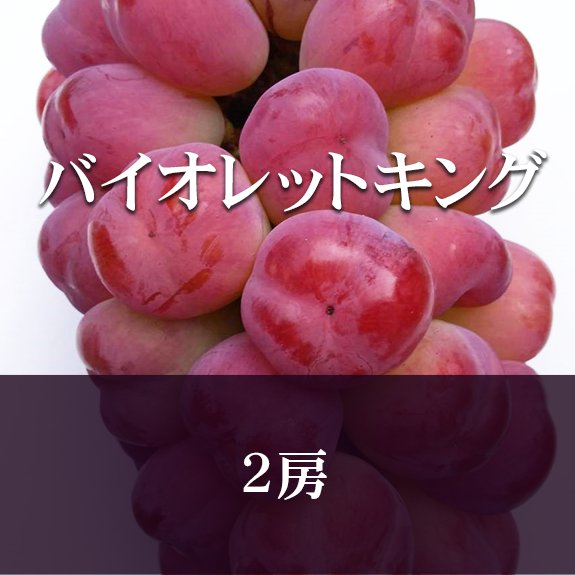 【2房】バイオレットキングの画像