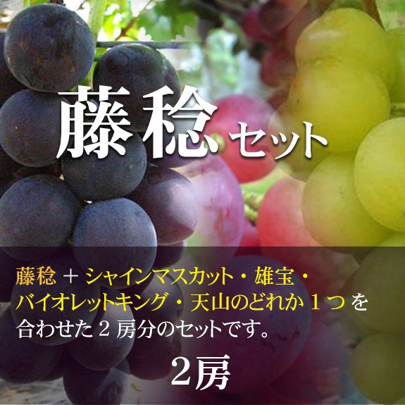 【2房】藤稔セットの画像