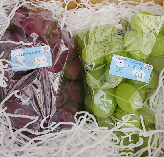 【2房】バイオレットキングセットの画像