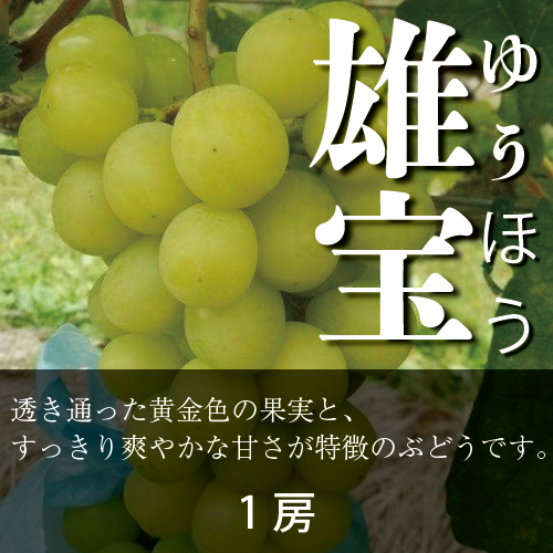 【1房】雄宝（ゆうほう）の画像